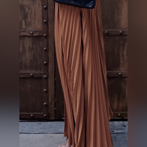 Zara Boho Pleated Maxi Skirt - Picture 11 of 11
